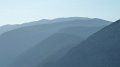 Delphi 5